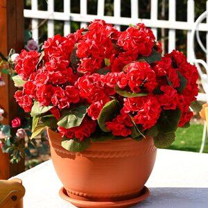 12-PCS Red Artificial Silk Faux Flowers Plants Balcony Garden Home Decoration